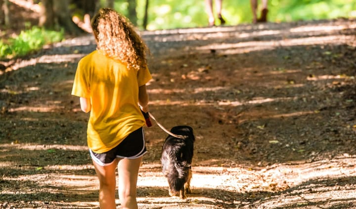 What Off Leash Dogs Can Teach Us About Communication
